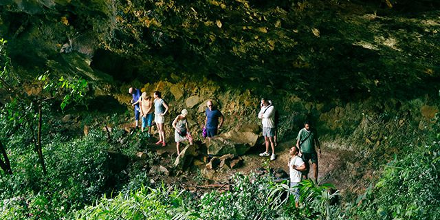 Hiking trip tamarind falls half day (13)